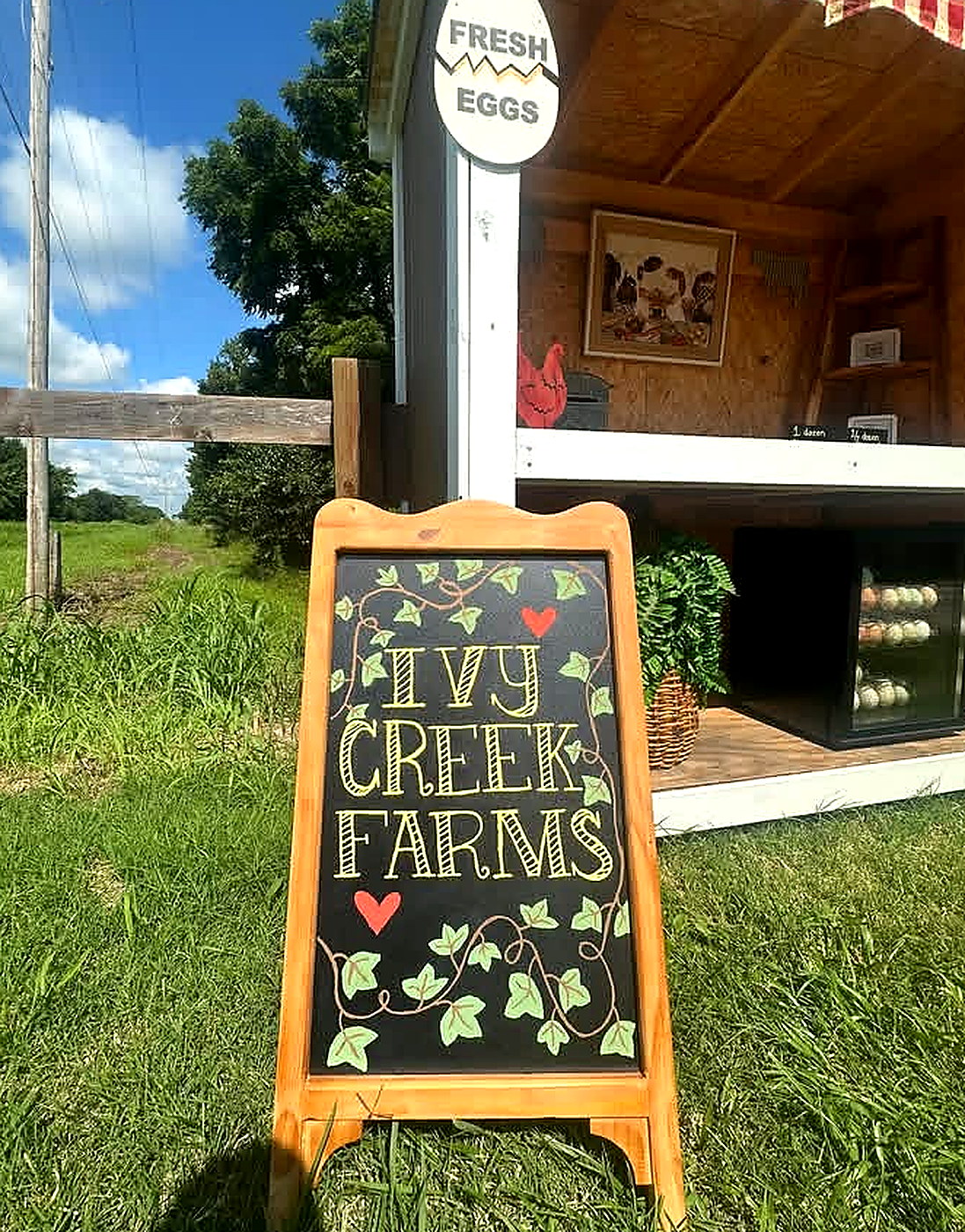 Ivy Creek Farms stand with a Fresh Eggs sign and cartons ready for pickup